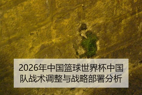 2026年中国篮球世界杯中国队战术调整与战略部署分析